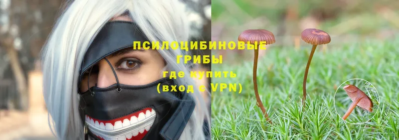 Псилоцибиновые грибы Magic Shrooms  Большой Камень 